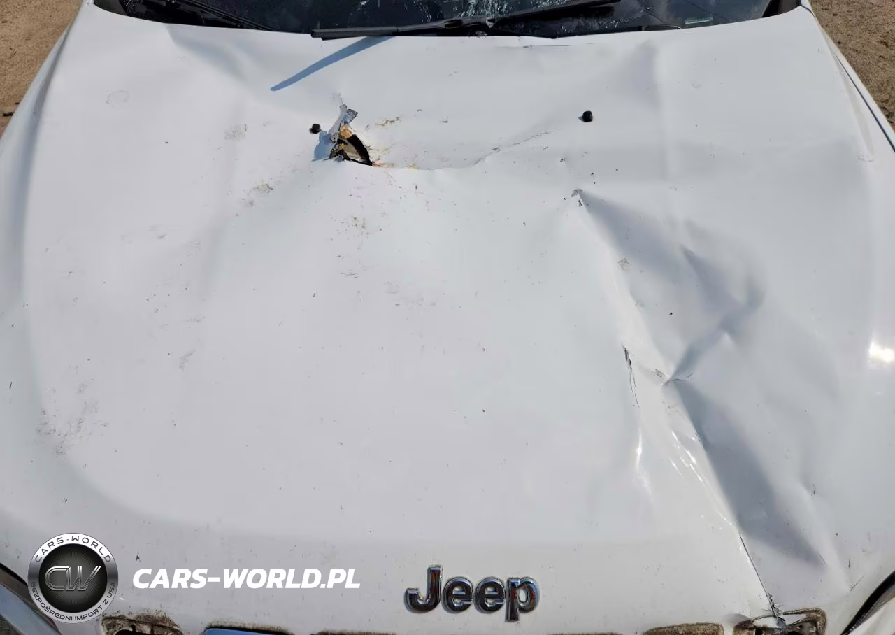 2019 Jeep Cherokee Latitude Plus VIN:1C4PJLLBXKD348457 - 12