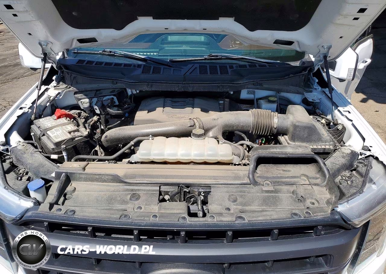 2023 Ford F150 Supercrew VIN:1FTFW1E86PKE74482 - 11