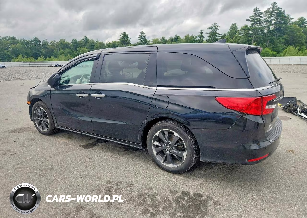 2023 Honda Odyssey Elite VIN:5FNRL6H96PB069646 - 2