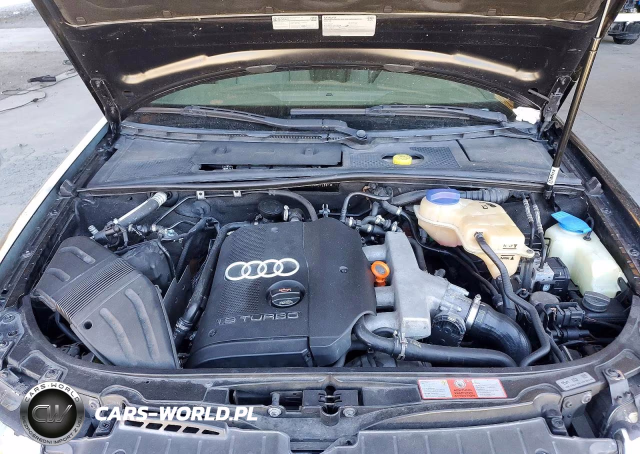 2004 Audi A4 1.8 Cabriolet VIN:WAUAC48H54K012861 - 11