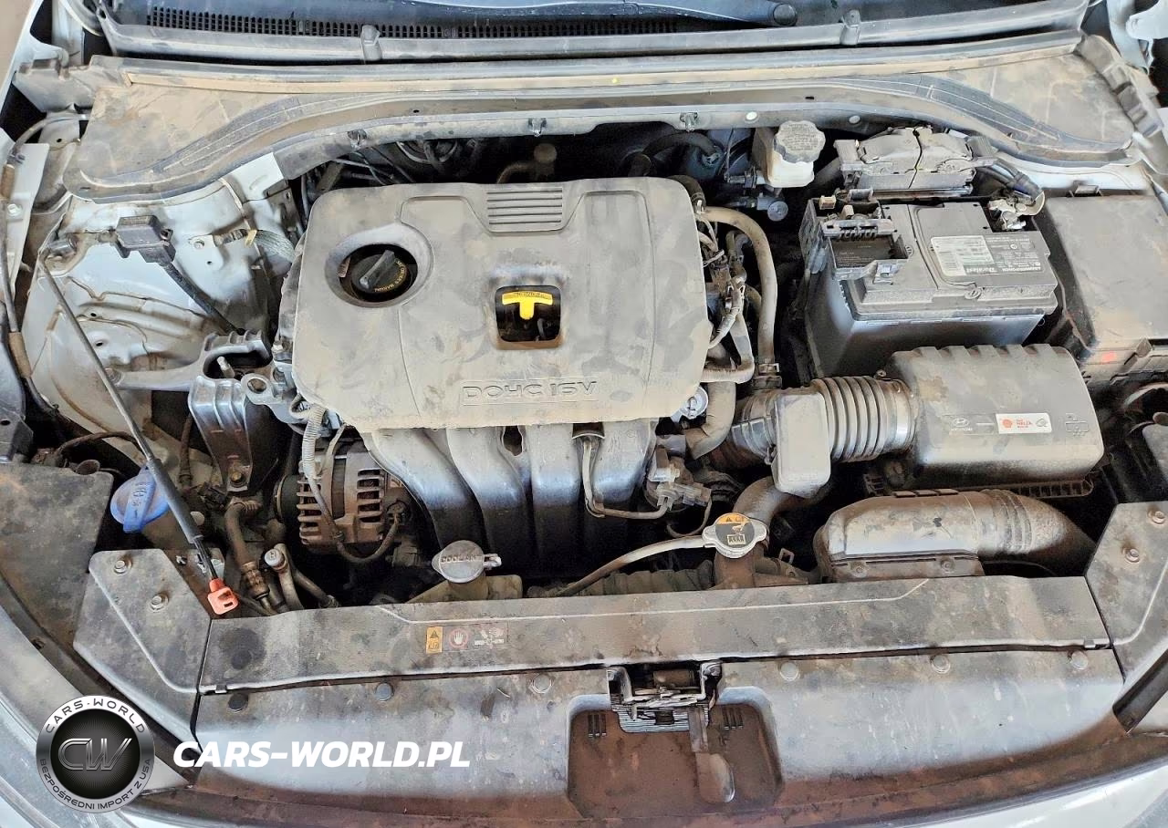 2019 Hyundai Elantra Sel VIN:KMHD84LF2KU756020 - 11