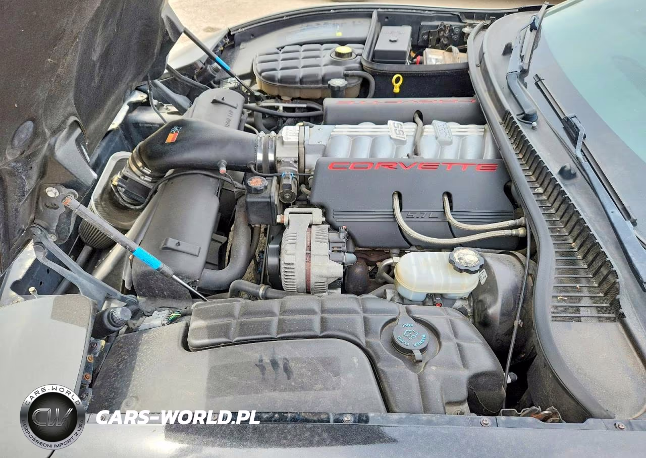 1998 Chevrolet Corvette VIN:1G1YY22G8W5107688 - 11