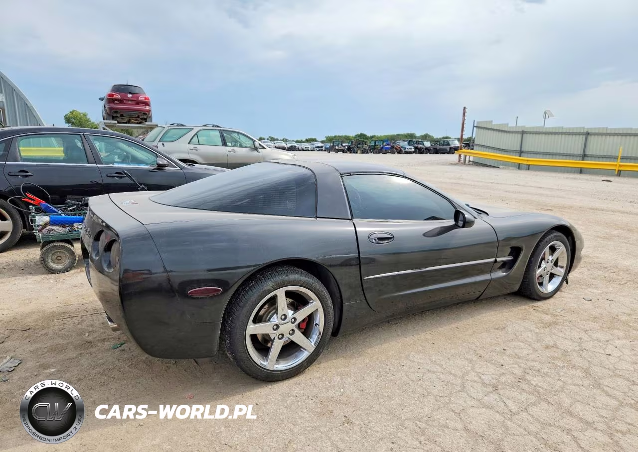 1998 Chevrolet Corvette VIN:1G1YY22G8W5107688 - 3