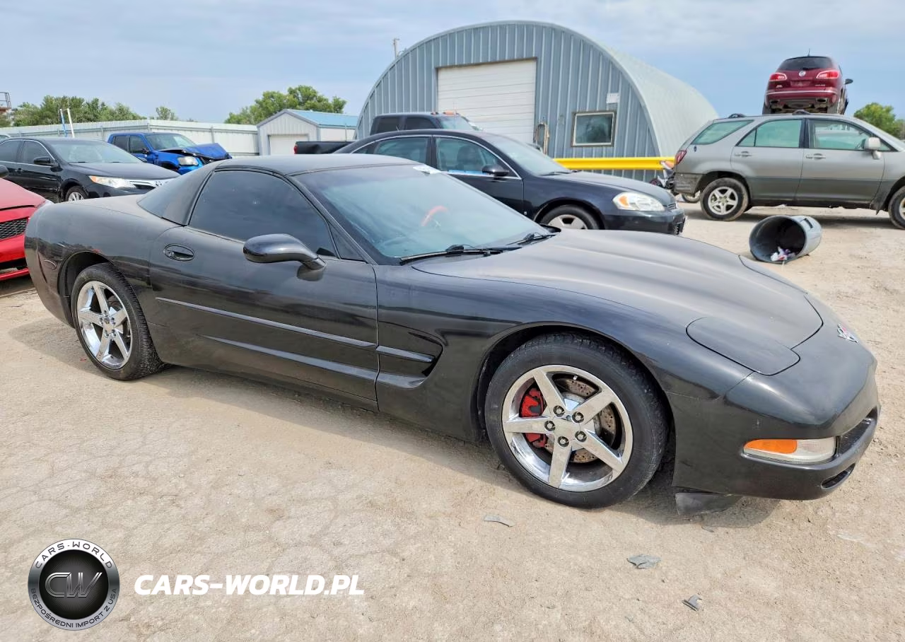 1998 Chevrolet Corvette VIN:1G1YY22G8W5107688 - 4