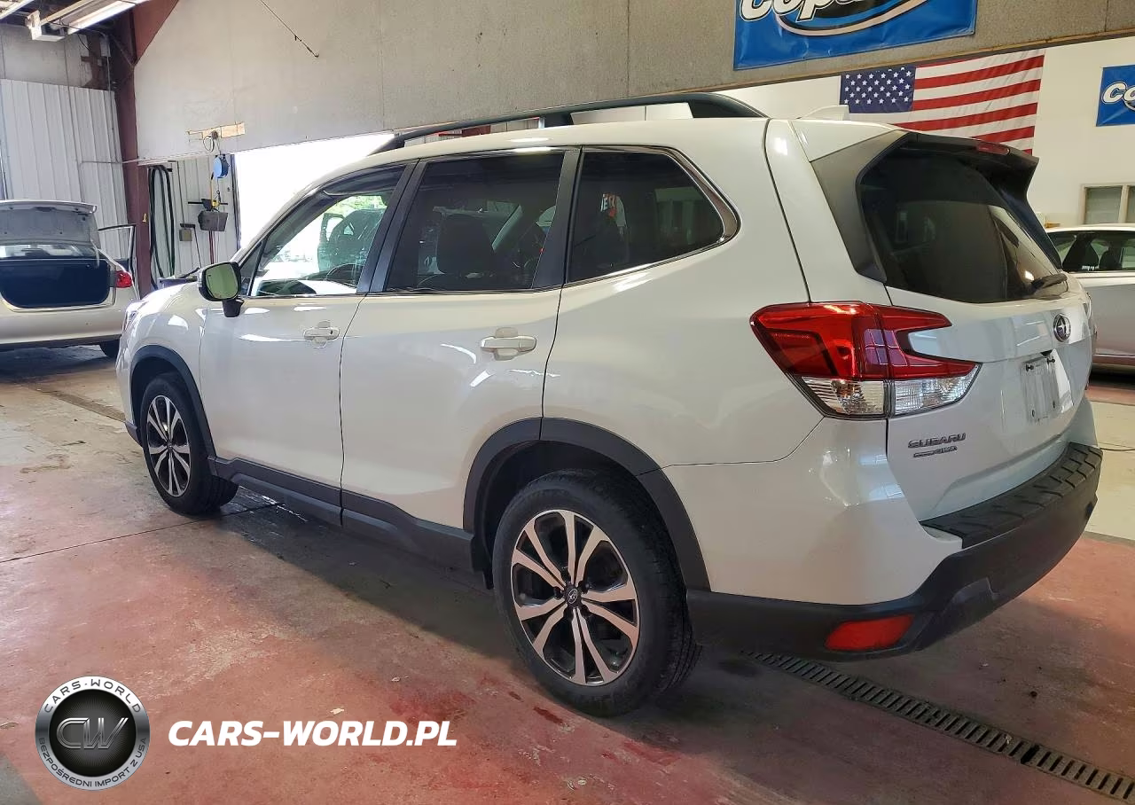 2019 Subaru Forester Limited VIN:JF2SKASC0KH455260 - 2