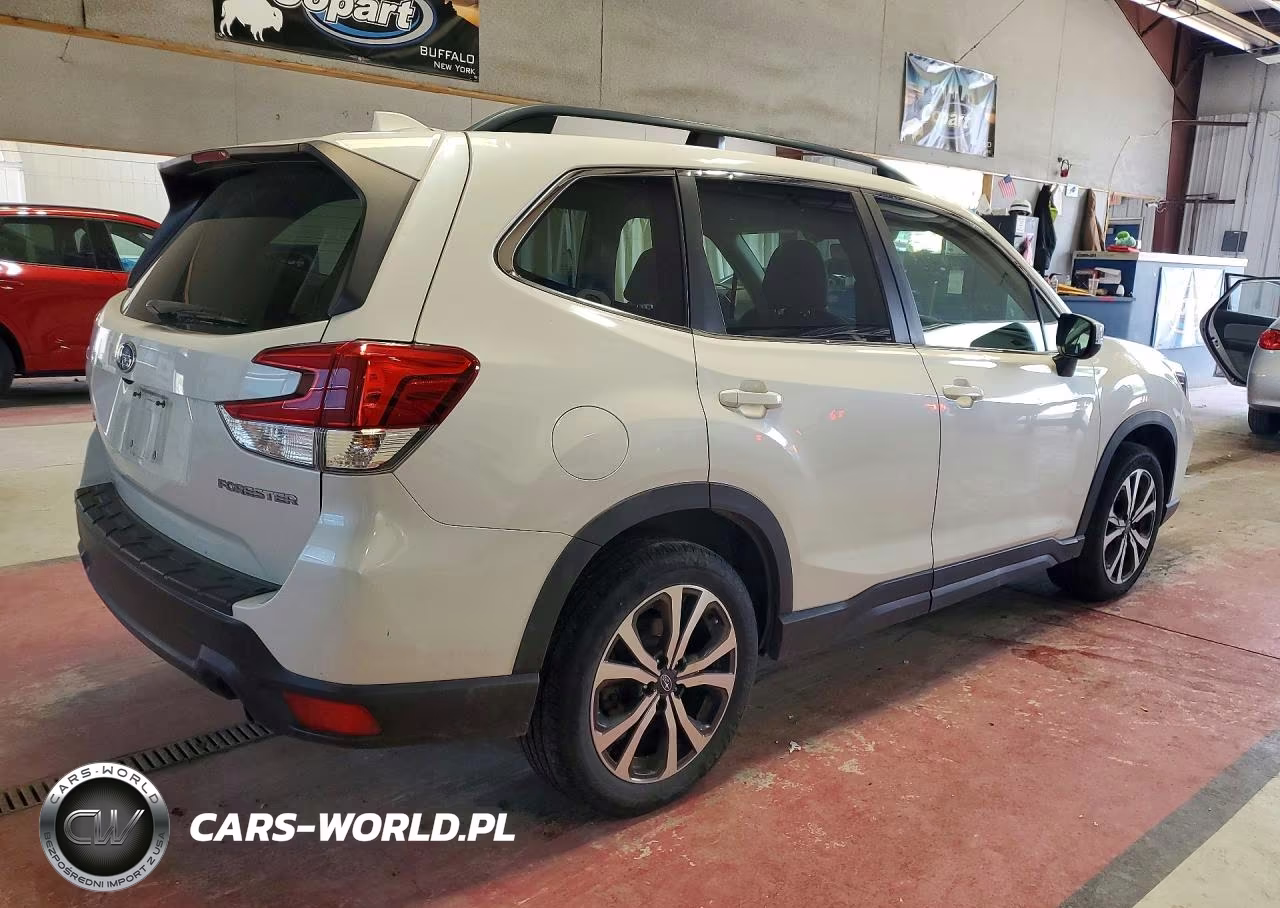 2019 Subaru Forester Limited VIN:JF2SKASC0KH455260 - 3