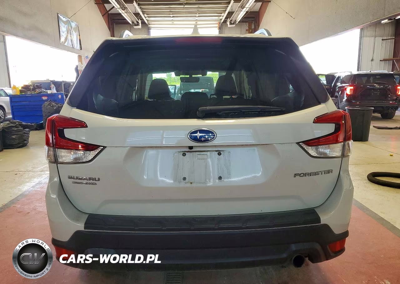 2019 Subaru Forester Limited VIN:JF2SKASC0KH455260 - 6