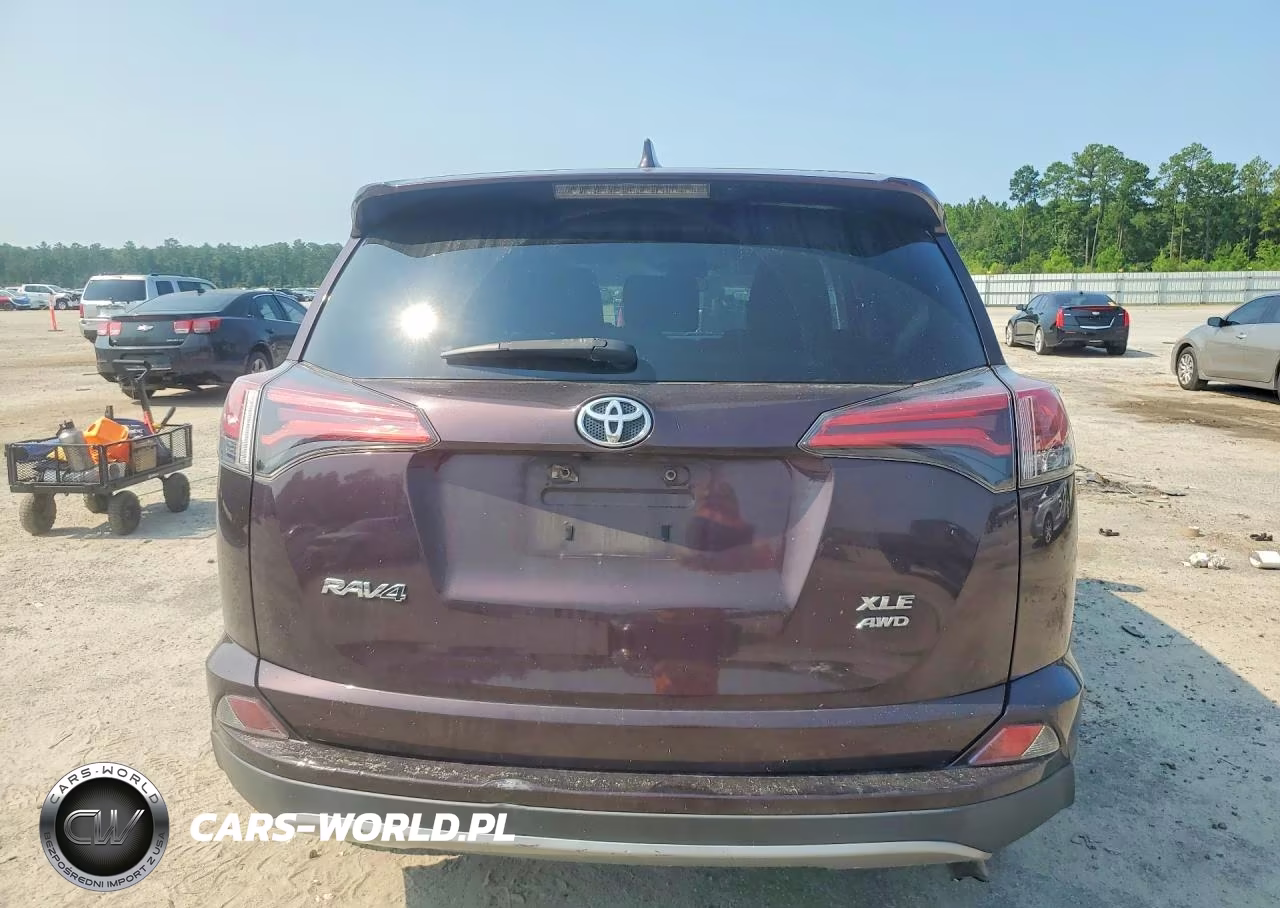 2018 Toyota Rav4 Xle VIN:2T3RFREV6JW797219 - 6