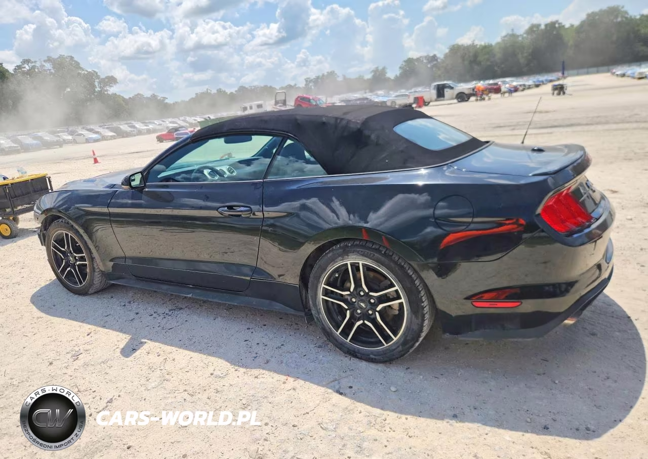 2020 Ford Mustang VIN:1FATP8UH8L5179800 - 2