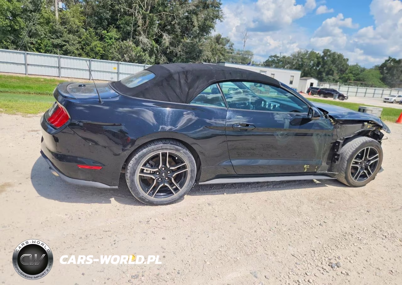 2020 Ford Mustang VIN:1FATP8UH8L5179800 - 3