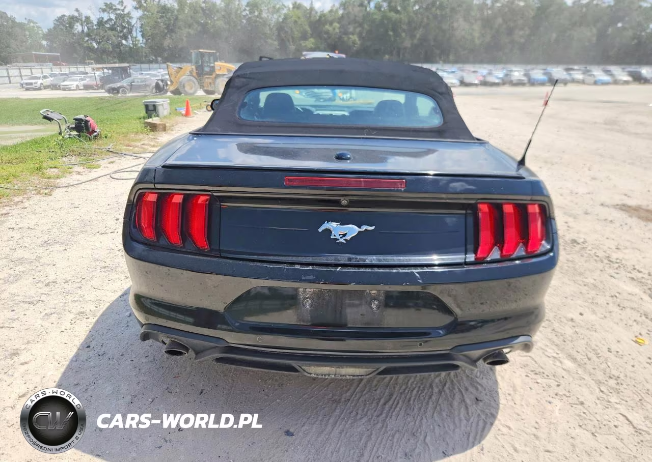 2020 Ford Mustang VIN:1FATP8UH8L5179800 - 6