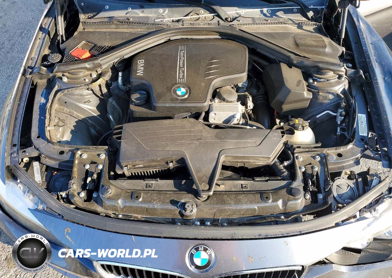 2014 BMW 320 I xDrive VIN:WBA3C3G59ENS70522 - 11