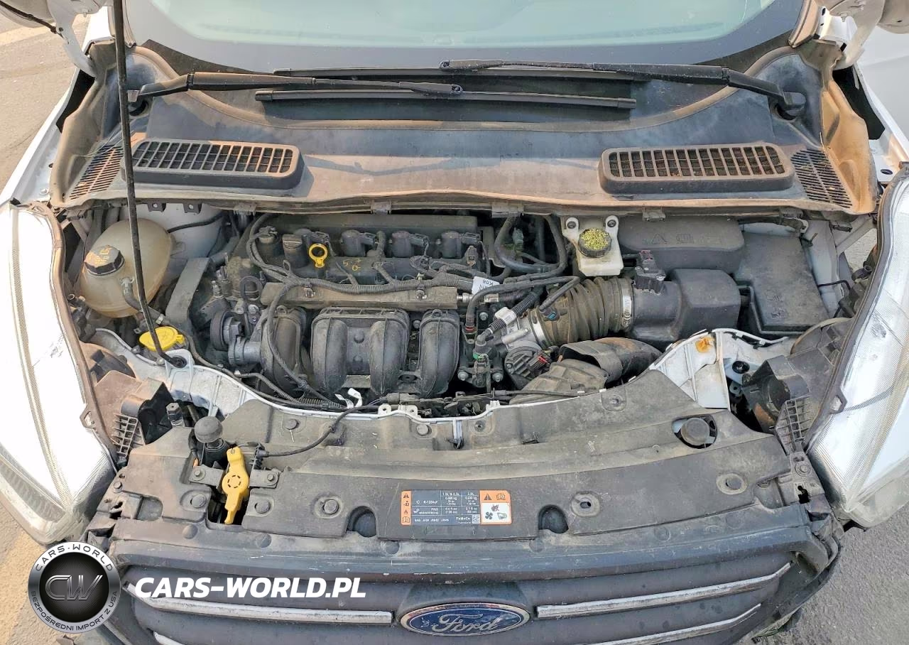 2017 Ford Escape S VIN:1FMCU0F74HUB44916 - 12