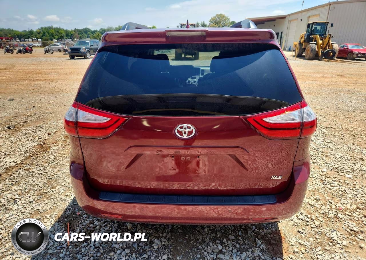 2019 Toyota Sienna Xle 8-Passenger VIN:5TDYZ3DC8KS989602 - 6