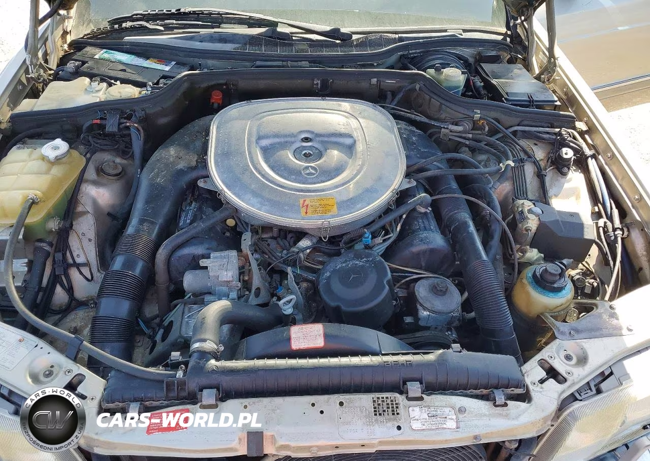 1988 Mercedes-Benz 560 Sel VIN:WDBCA39D2JA394998 - 11