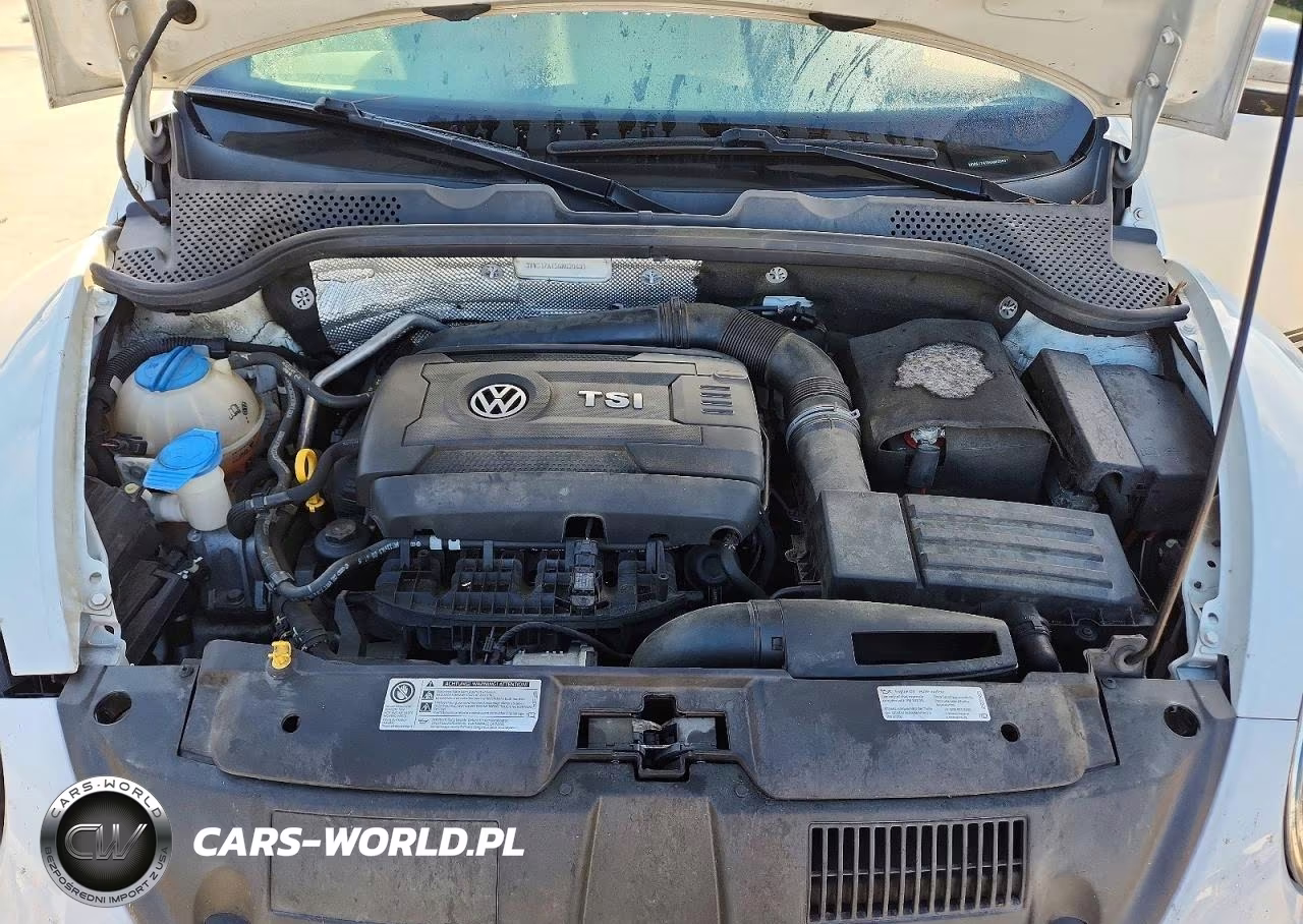 2016 Volkswagen Beetle Dune VIN:3VWS17AT5GM620631 - 11