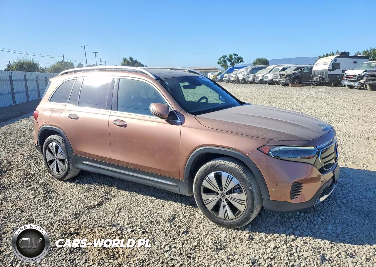 2023 Mercedes-Benz Eqb 250+ VIN:W1N9M0CB9PN061832 - 4