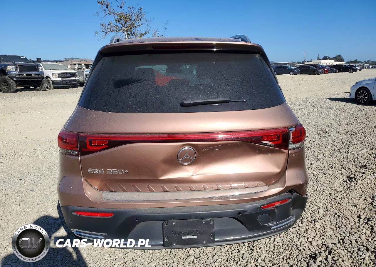 2023 Mercedes-Benz Eqb 250+ VIN:W1N9M0CB9PN061832 - 6