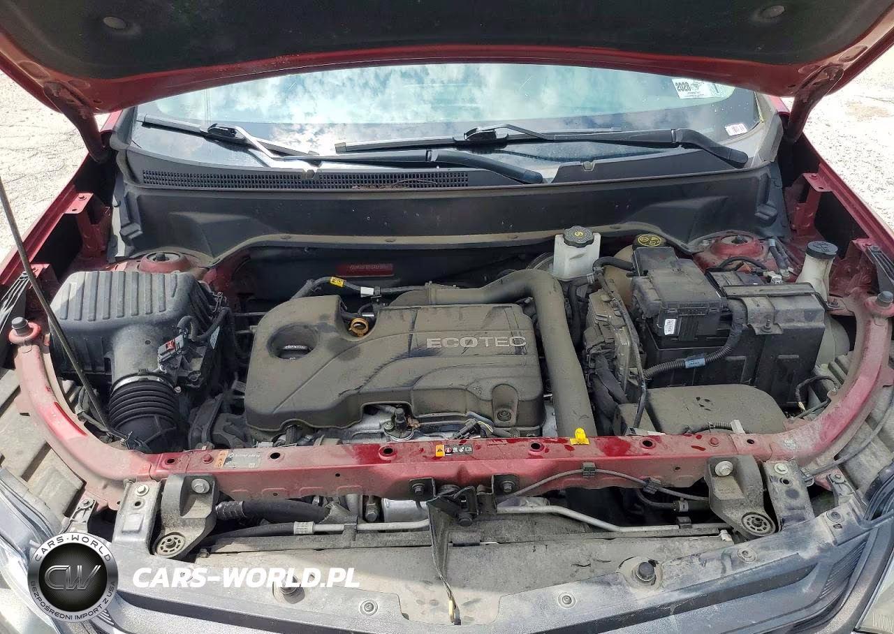 2019 Chevrolet Equinox Lt VIN:2GNAXUEV2K6184600 - 12