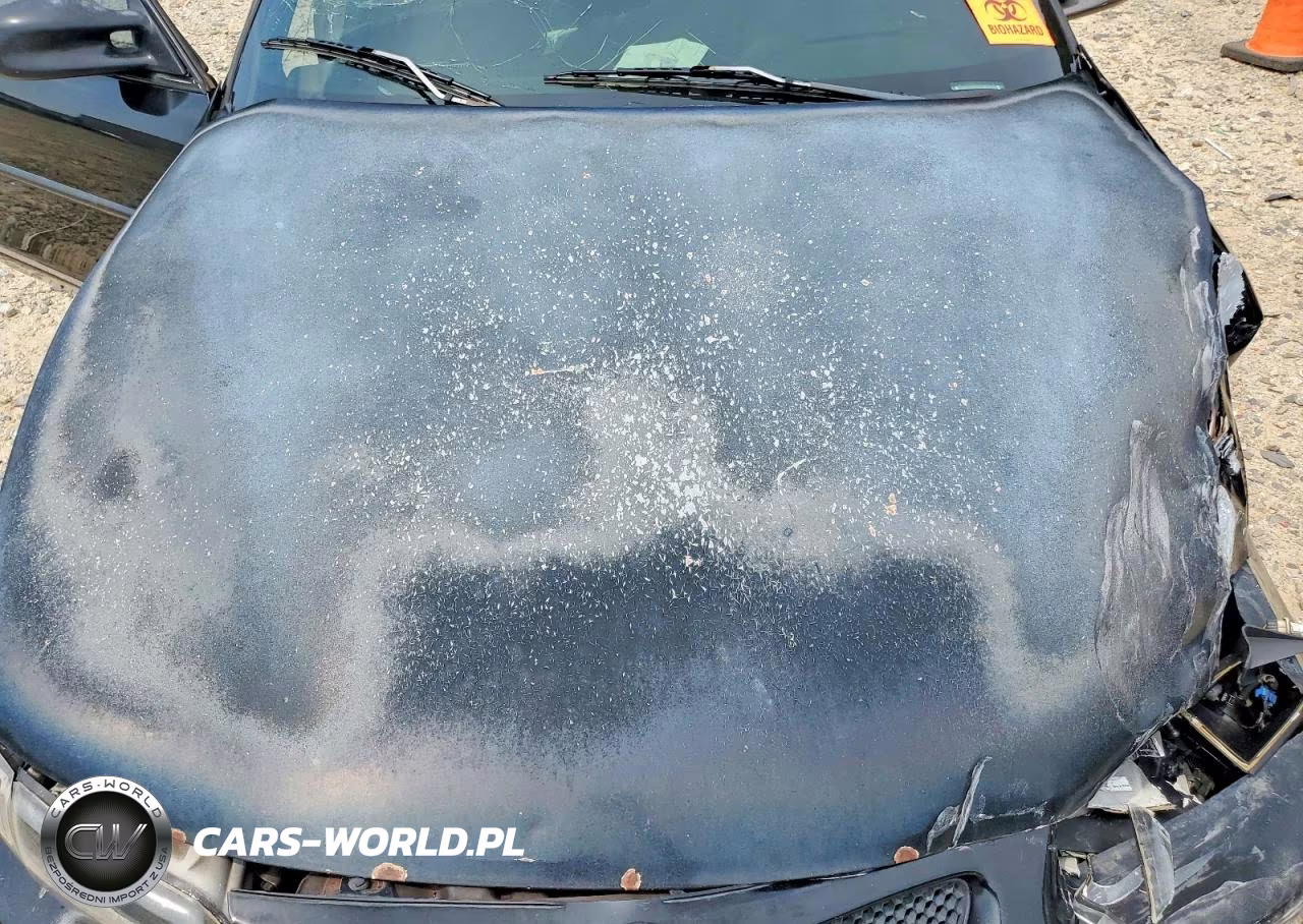1998 Pontiac Grand Prix Gt VIN:1G2WP52K8WF341691 - 11
