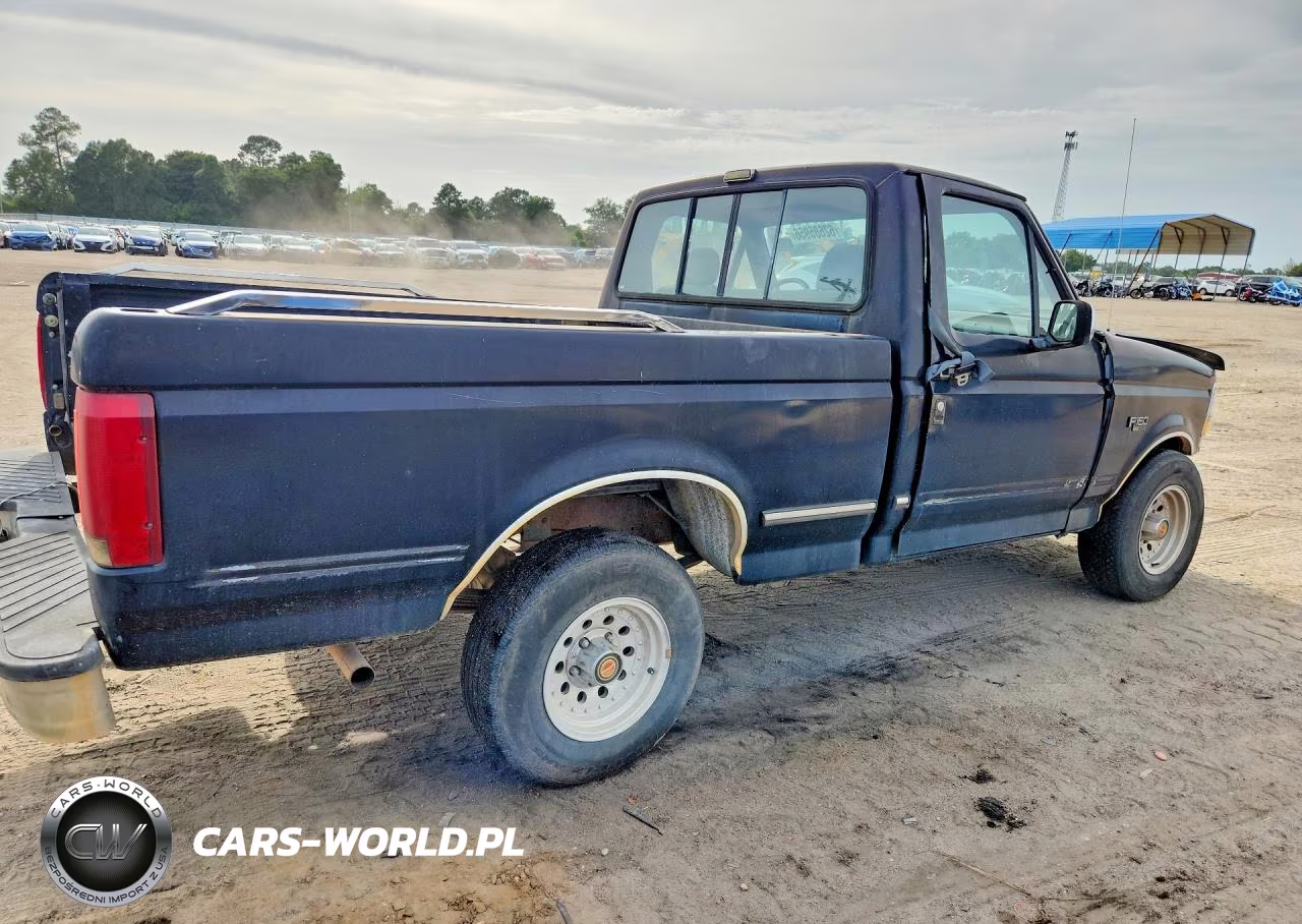 1993 Ford F150 VIN:1FTDF15N5PNA91970 - 3