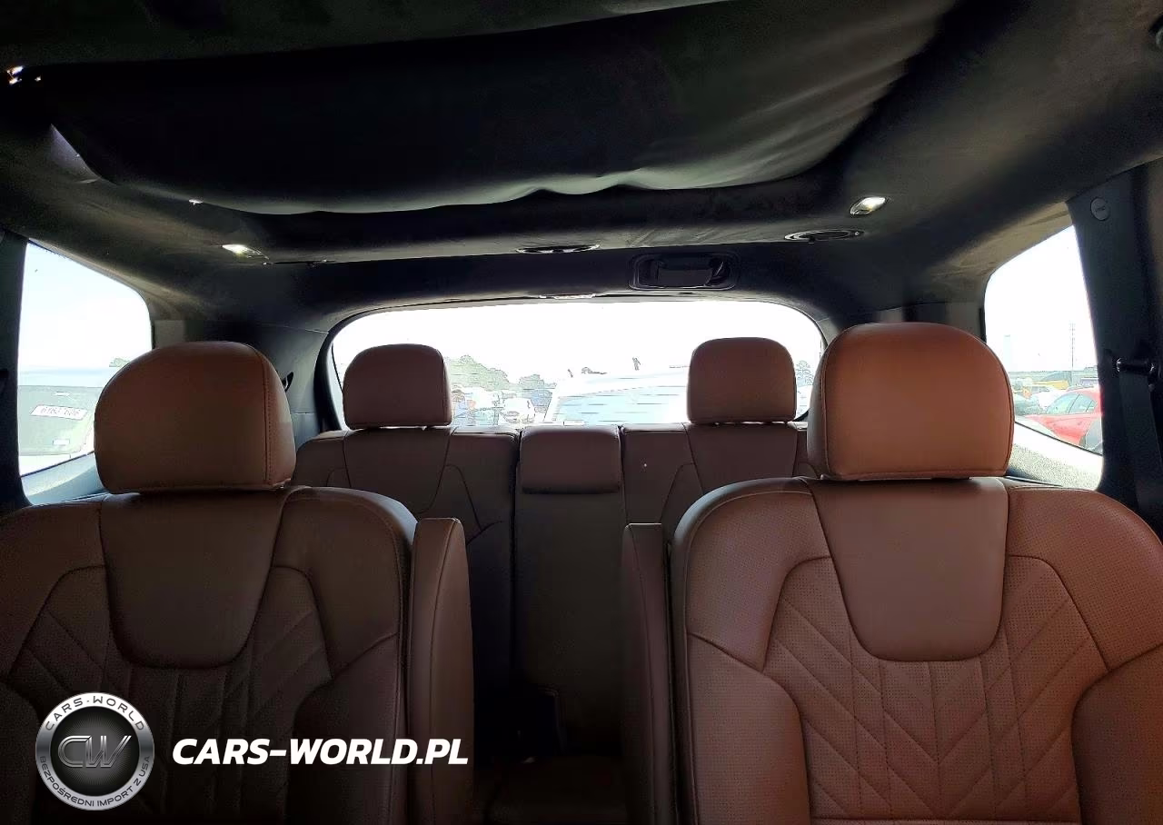 2024 Kia Telluride Sx-Prestige X-Line VIN:5XYP5DGC2RG417649 - 10