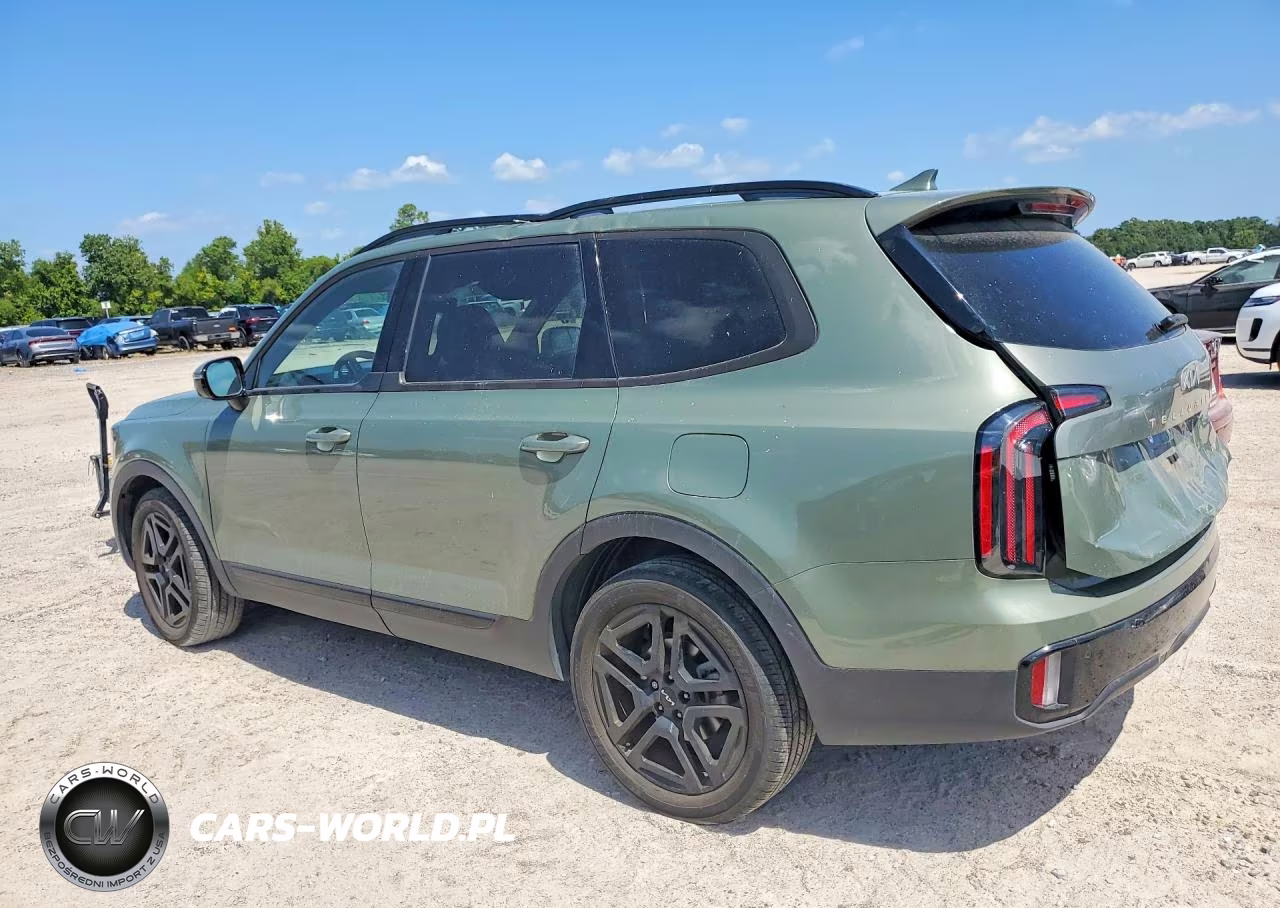 2024 Kia Telluride Sx-Prestige X-Line VIN:5XYP5DGC2RG417649 - 2
