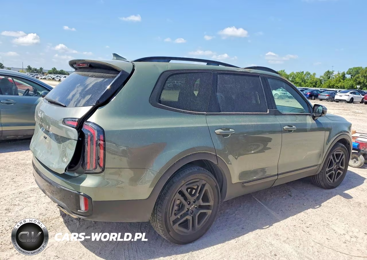 2024 Kia Telluride Sx-Prestige X-Line VIN:5XYP5DGC2RG417649 - 3