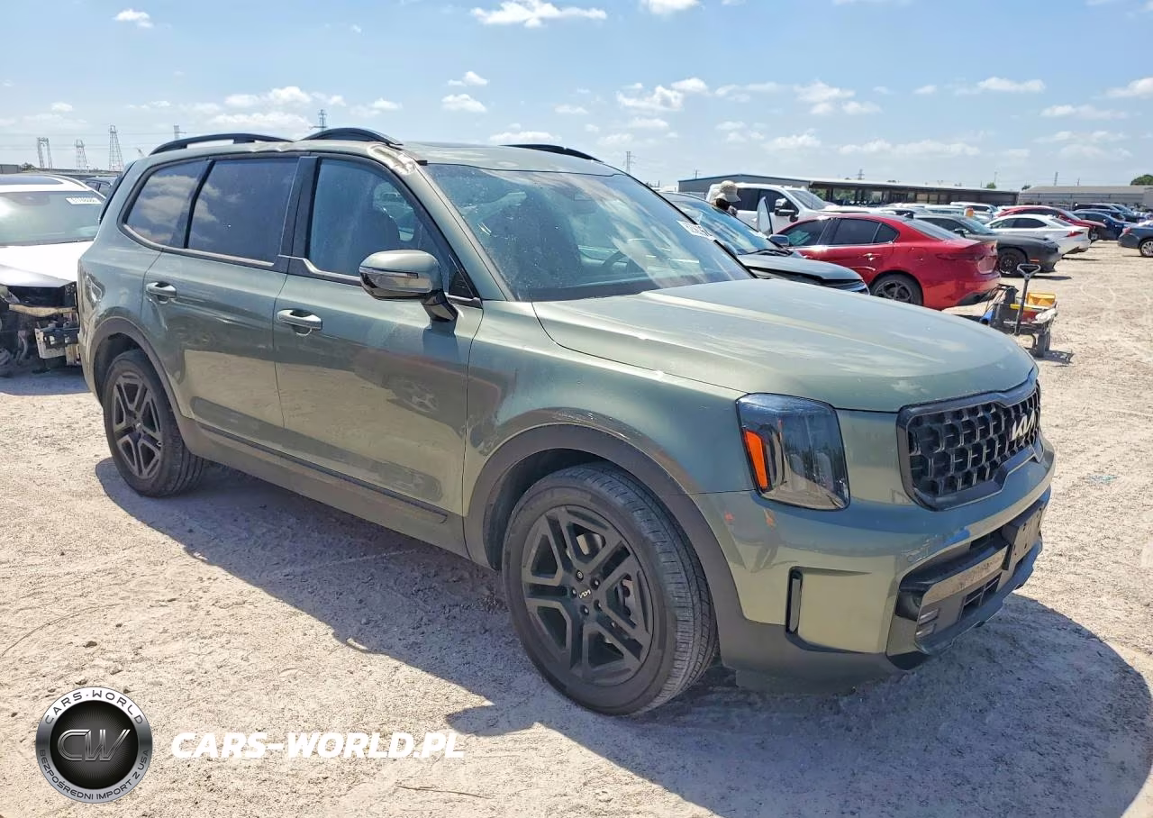 2024 Kia Telluride Sx-Prestige X-Line VIN:5XYP5DGC2RG417649 - 4