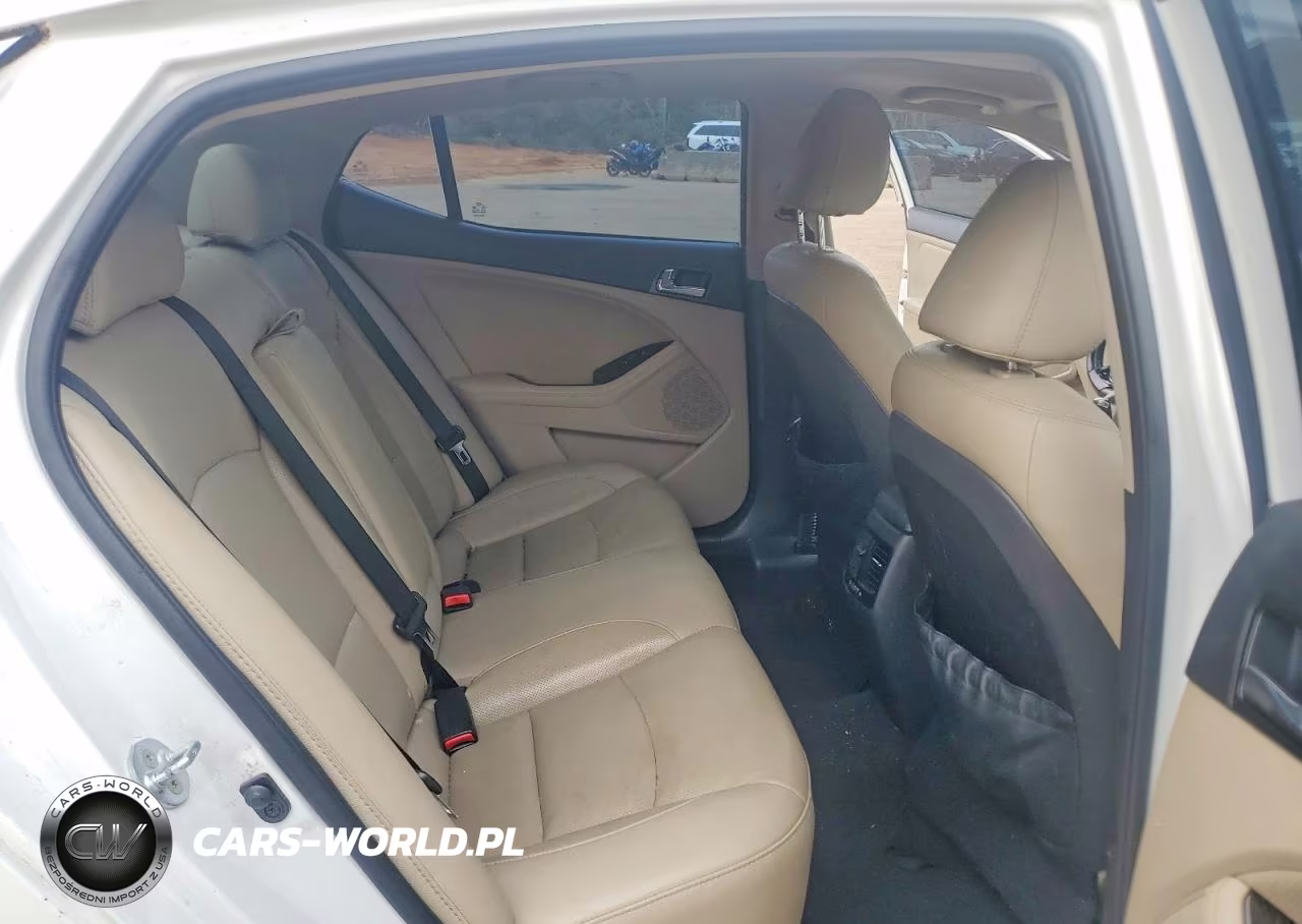 2015 Kia Optima Ex VIN:5XXGN4A79FG396441 - 10