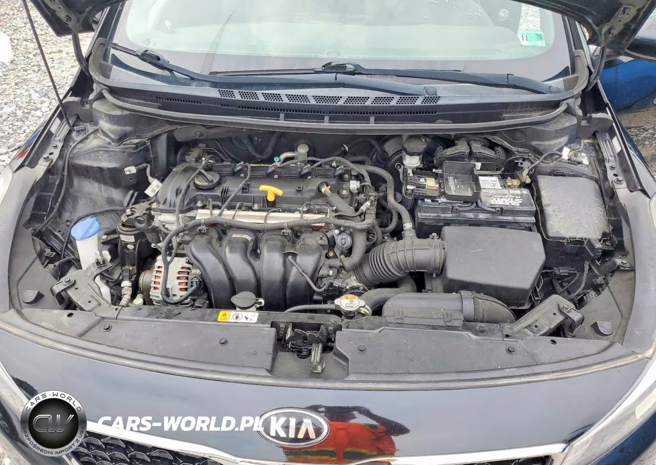 2017 Kia Forte Lx VIN:3KPFK4A72HE044432 - 11