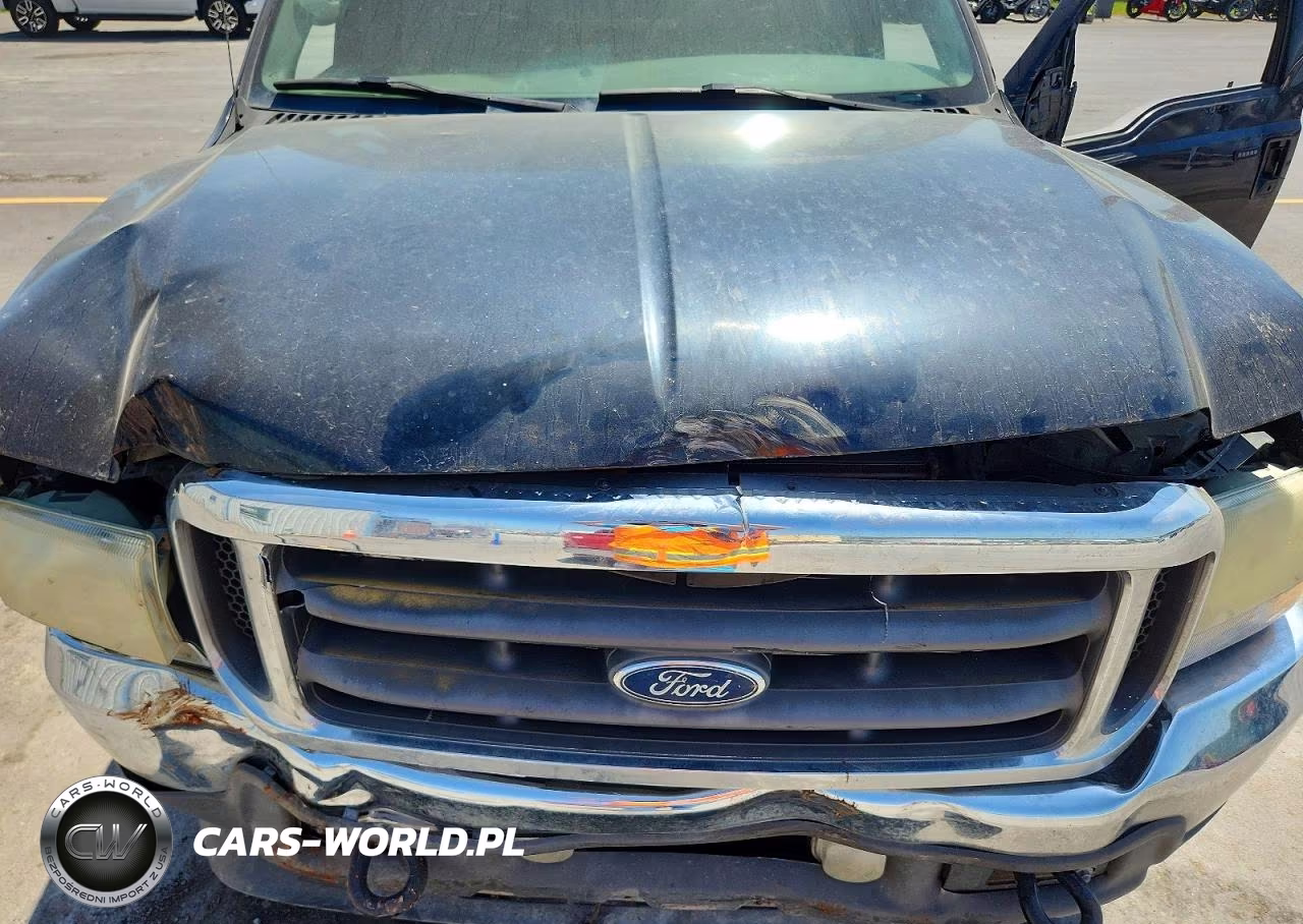 2004 Ford F250 Super Duty VIN:1FTNX21P24ED85966 - 11