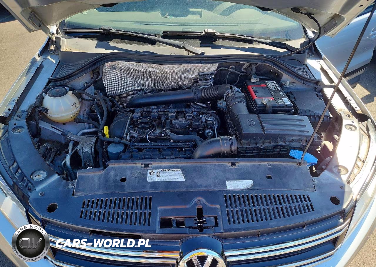 2017 Volkswagen Tiguan S VIN:WVGBV7AX2HK051719 - 11