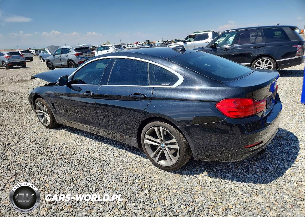 2016 BMW 428 Xi Gran Coupe Sulev VIN:WBA4C9C58GG136203 - 2