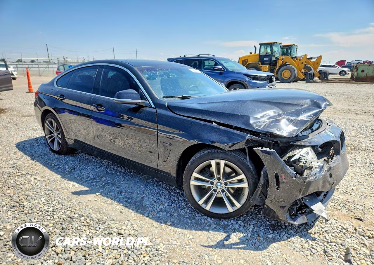 2016 BMW 428 Xi Gran Coupe Sulev VIN:WBA4C9C58GG136203 - 4