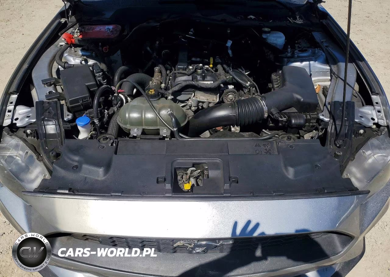 2021 Ford Mustang VIN:1FATP8UH3M5101698 - 11