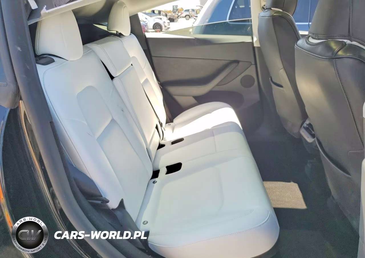 2023 Tesla Model Y VIN:7SAYGDEE6PF780448 - 10