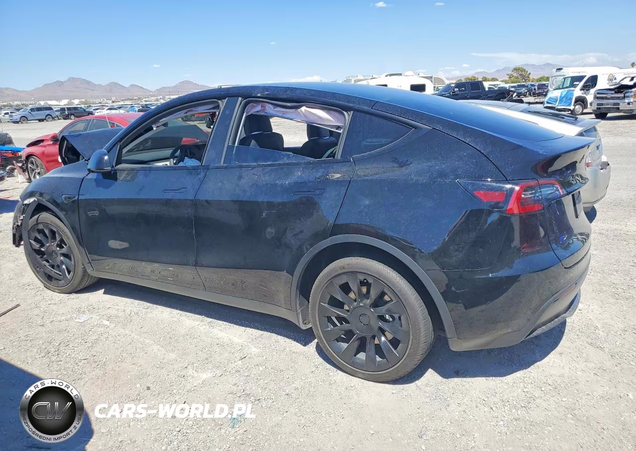 2023 Tesla Model Y VIN:7SAYGDEE6PF780448 - 2
