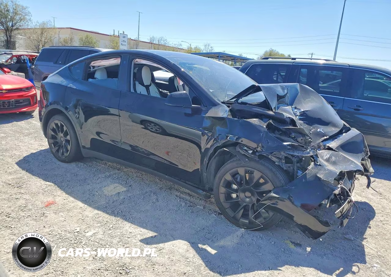 2023 Tesla Model Y VIN:7SAYGDEE6PF780448 - 4