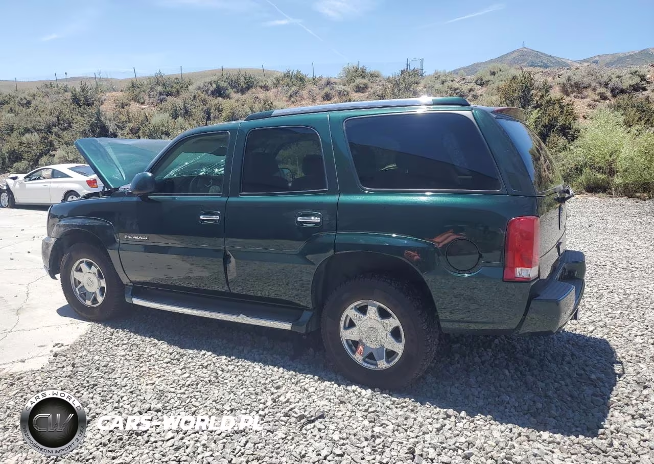 2003 Cadillac Escalade Luxury VIN:1GYEK63N53R149265 - 2