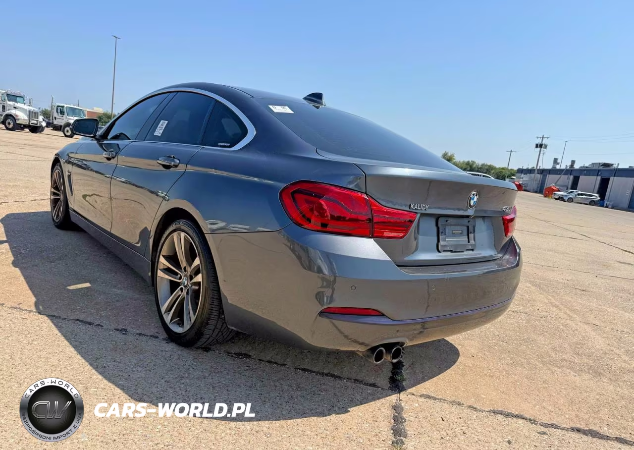 2019 BMW 430I Gran Coupe VIN:WBA4J1C59KBM13521 - 3