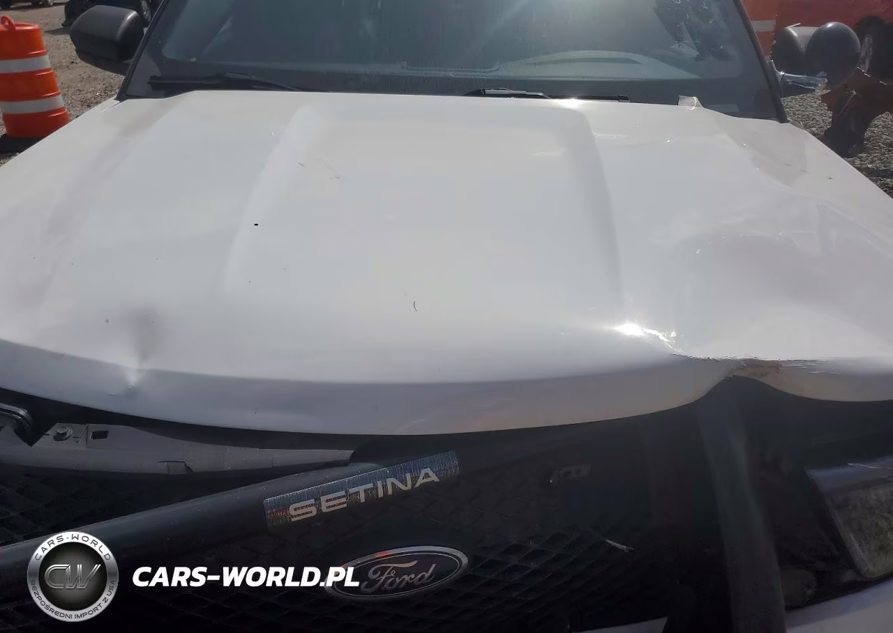 2023 Ford Explorer Police Interceptor VIN:1FM5K8AB3PGC17912 - 11