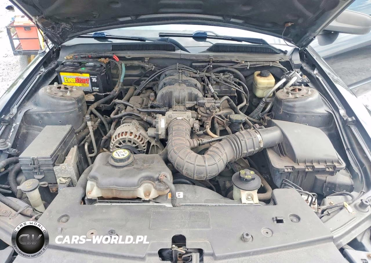 2008 Ford Mustang VIN:1ZVHT80N785115260 - 11