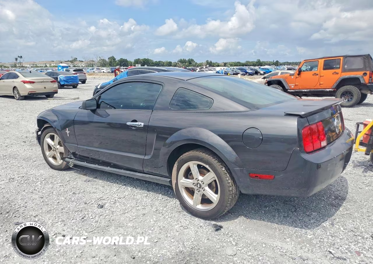 2008 Ford Mustang VIN:1ZVHT80N785115260 - 2