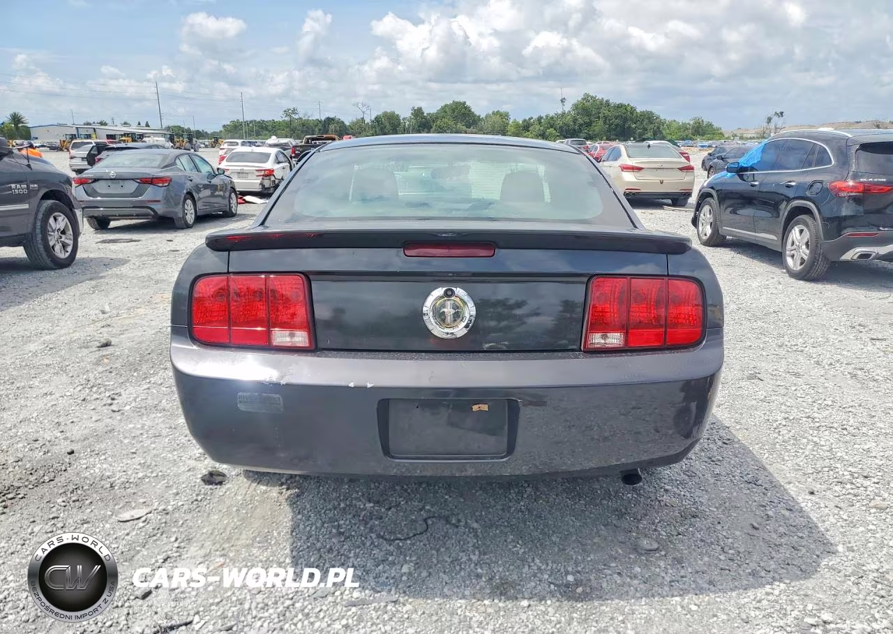 2008 Ford Mustang VIN:1ZVHT80N785115260 - 6