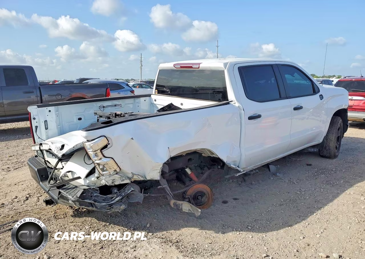 2024 Chevrolet Silverado K1500 Ppv VIN:3GCUD4ED6RG413462 - 3