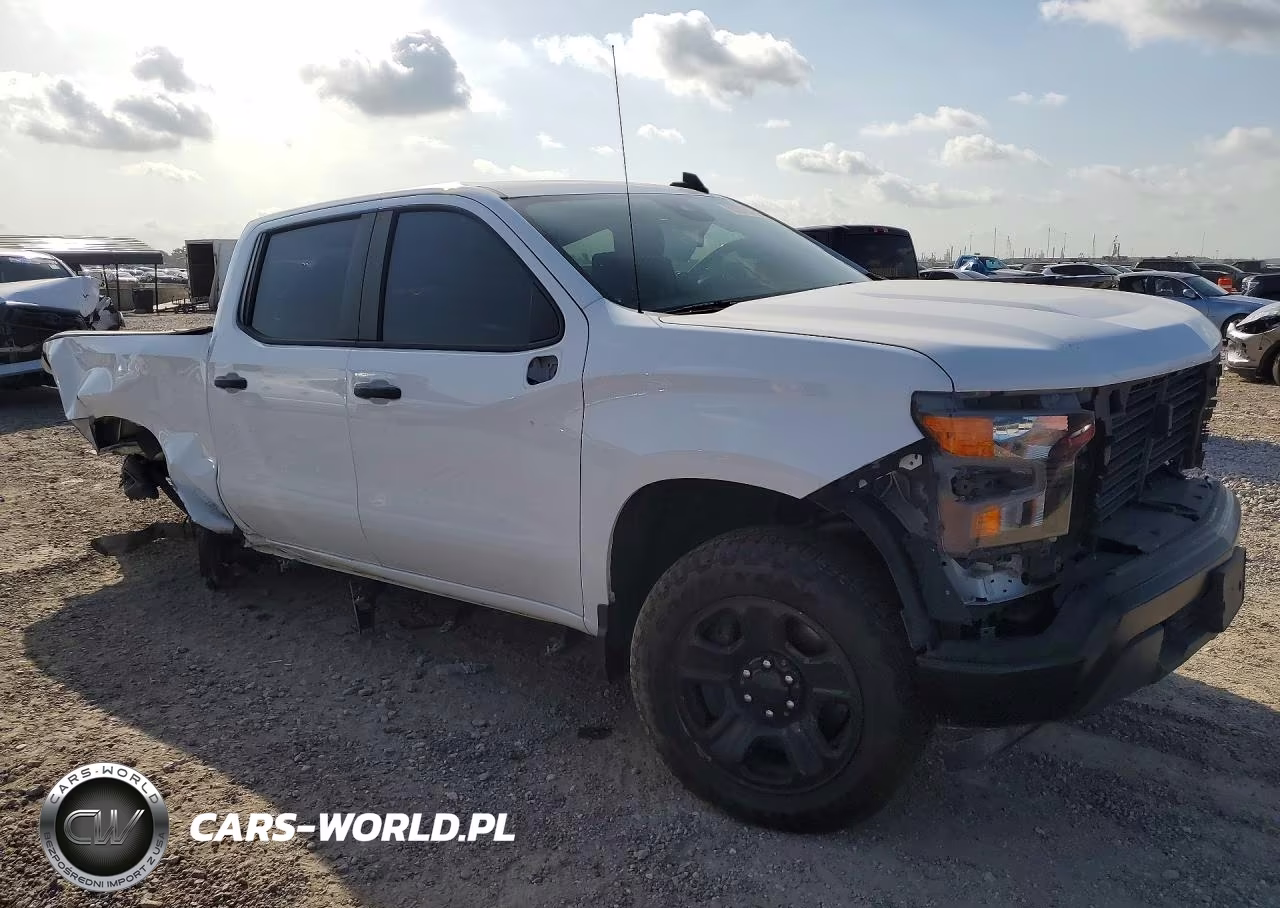 2024 Chevrolet Silverado K1500 Ppv VIN:3GCUD4ED6RG413462 - 4
