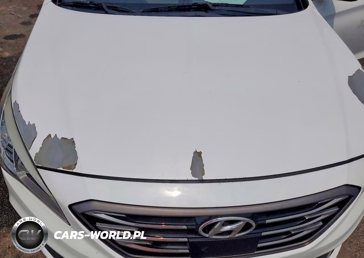 2017 Hyundai Sonata Limited 2.0T VIN:5NPE34AB1HH462098 - 11
