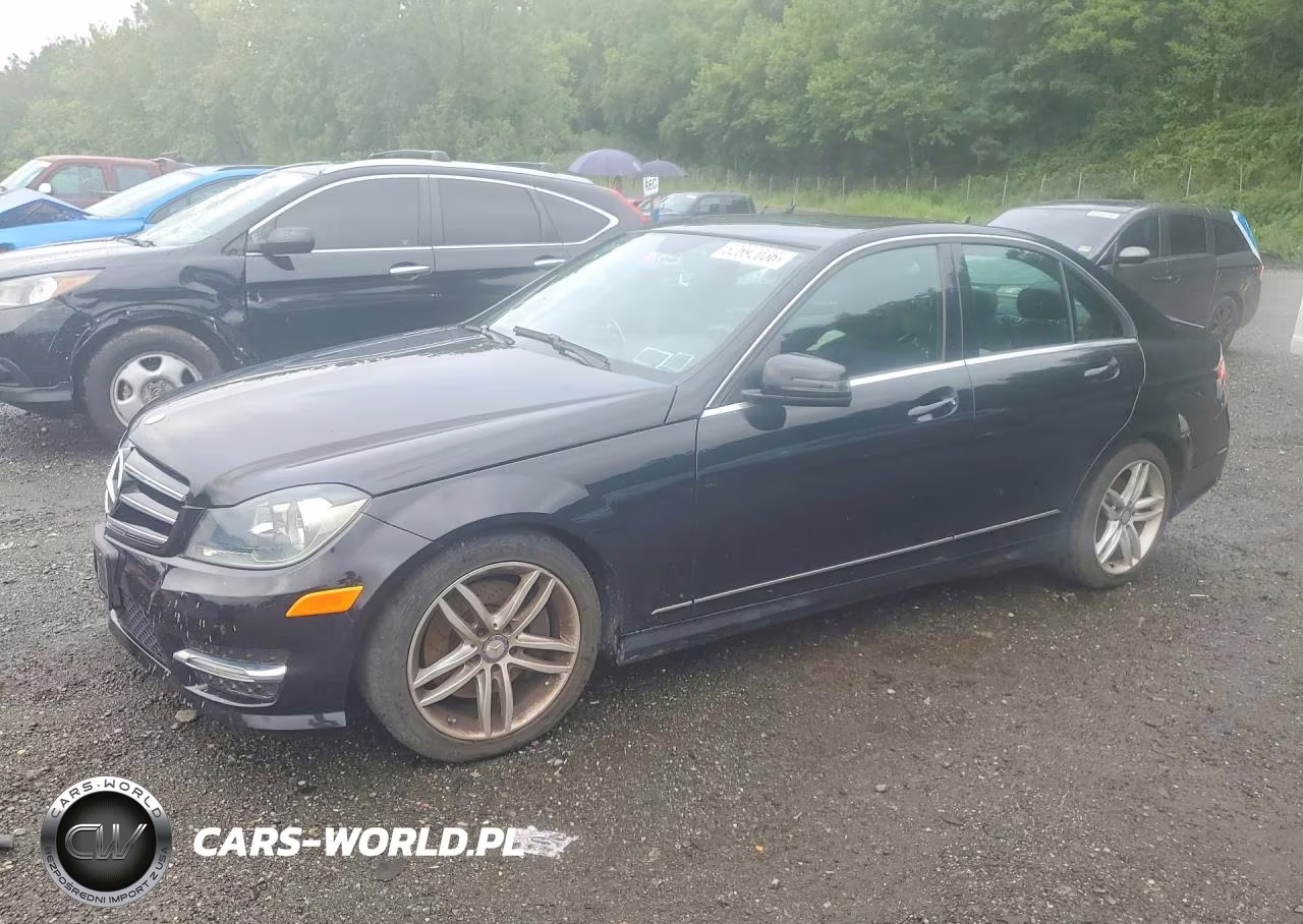 2014 Mercedes-Benz C 300 4Matic VIN:WDDGF8AB5EA890563 - 1
