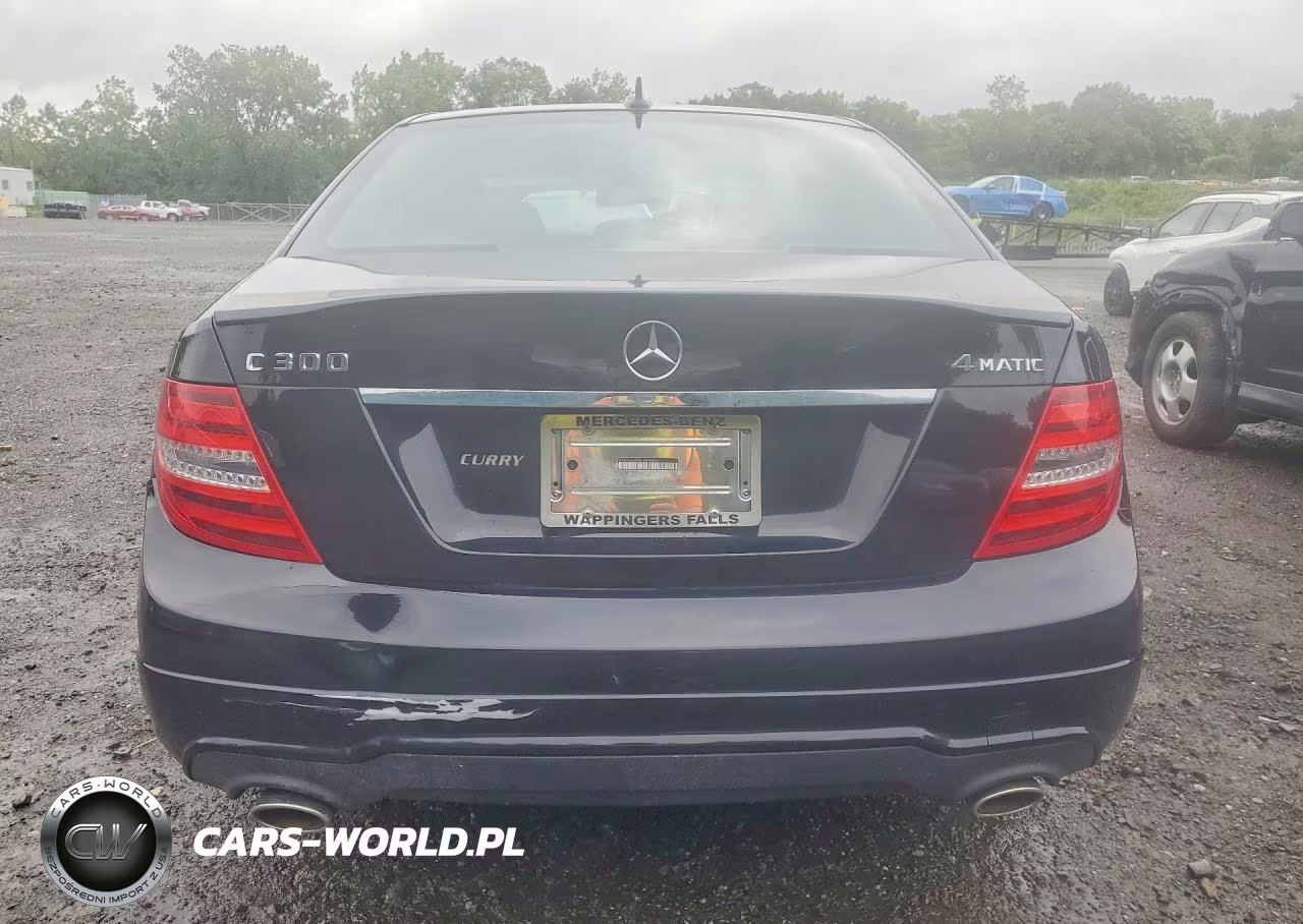 2014 Mercedes-Benz C 300 4Matic VIN:WDDGF8AB5EA890563 - 6